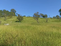 SÍTIO EM BOM SUCESSO/ PARÁ DE MINAS COM CASA LAGOA E 2 NASCENTES