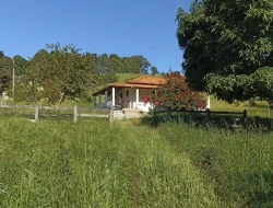 SÍTIO EM BOM SUCESSO/ PARÁ DE MINAS COM CASA LAGOA E 2 NASCENTES