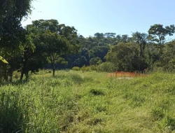SÍTIO EM BOM SUCESSO/ PARÁ DE MINAS COM CASA LAGOA E 2 NASCENTES