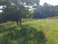 SÍTIO EM BOM SUCESSO/ PARÁ DE MINAS COM CASA LAGOA E 2 NASCENTES
