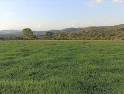 CHÁCARAS EM ASCENSÃO , ÁREA URBANA COM ESCRITURA