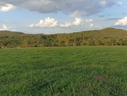 CHÁCARAS EM ASCENSÃO , ÁREA URBANA COM ESCRITURA