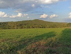 CHÁCARAS EM ASCENSÃO , ÁREA URBANA COM ESCRITURA