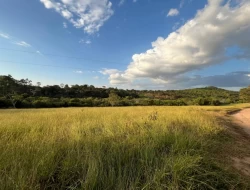 CHÁCARAS EM ASCENSÃO , ÁREA URBANA COM ESCRITURA