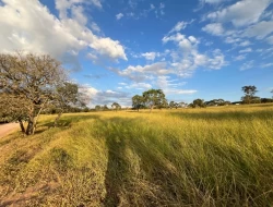 CHÁCARAS EM ASCENSÃO , ÁREA URBANA COM ESCRITURA