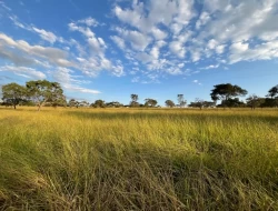 CHÁCARAS EM ASCENSÃO , ÁREA URBANA COM ESCRITURA