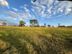 CHÁCARAS EM ASCENSÃO , ÁREA URBANA COM ESCRITURA