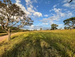 CHÁCARAS EM ASCENSÃO , ÁREA URBANA COM ESCRITURA