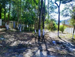 CHÁCARA EM CÓRREGO DO BARRO