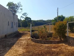 CHÁCARA DE 2 HECTARES EM LIMAS DE IGARATINGA - COM ESCRITURA REGISTRADA