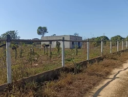CHÁCARA DE 2 HECTARES EM LIMAS DE IGARATINGA - COM ESCRITURA REGISTRADA