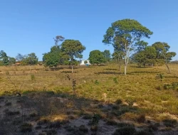 CHÁCARA DE 2 HECTARES EM LIMAS DE IGARATINGA - COM ESCRITURA REGISTRADA