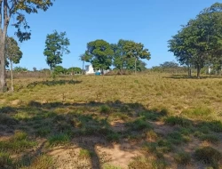 CHÁCARA DE 2 HECTARES EM LIMAS DE IGARATINGA - COM ESCRITURA REGISTRADA