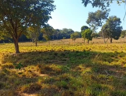 CHÁCARA DE 2 HECTARES EM LIMAS DE IGARATINGA - COM ESCRITURA REGISTRADA