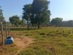 CHÁCARA DE 2 HECTARES EM LIMAS DE IGARATINGA - COM ESCRITURA REGISTRADA