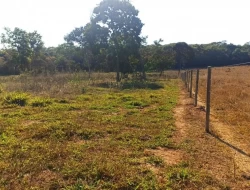 CHÁCARA DE 2 HECTARES EM LIMAS DE IGARATINGA - COM ESCRITURA REGISTRADA