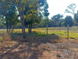 CHÁCARA DE 2 HECTARES EM LIMAS DE IGARATINGA - COM ESCRITURA REGISTRADA