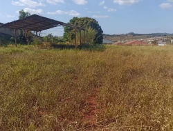 ÁREA BAIRRO SANTA EDWIRGES/RECANTO DA LAGOA