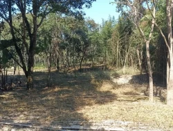 SÍTIO JOSÉ DA VARGINHA