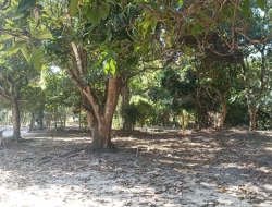 SÍTIO JOSÉ DA VARGINHA