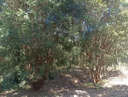 SÍTIO JOSÉ DA VARGINHA