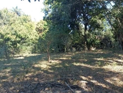 SÍTIO JOSÉ DA VARGINHA