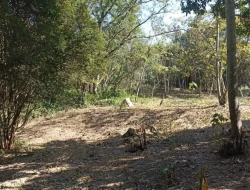 SÍTIO JOSÉ DA VARGINHA