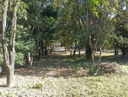 SÍTIO JOSÉ DA VARGINHA