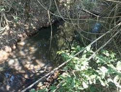 SÍTIO JOSÉ DA VARGINHA