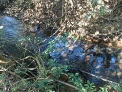 SÍTIO JOSÉ DA VARGINHA