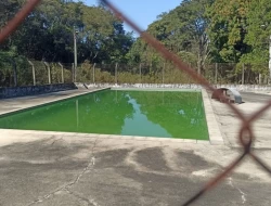 SÍTIO JOSÉ DA VARGINHA