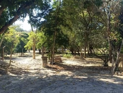 SÍTIO JOSÉ DA VARGINHA