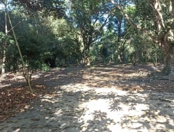 SÍTIO JOSÉ DA VARGINHA