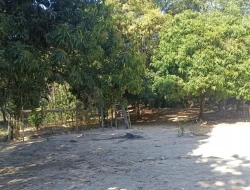 SÍTIO JOSÉ DA VARGINHA