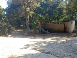 SÍTIO JOSÉ DA VARGINHA