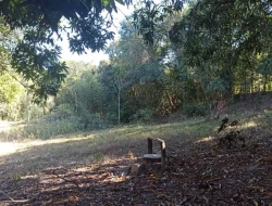 SÍTIO JOSÉ DA VARGINHA