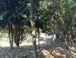 SÍTIO JOSÉ DA VARGINHA