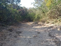 SÍTIO JOSÉ DA VARGINHA