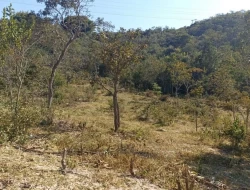 SÍTIO JOSÉ DA VARGINHA