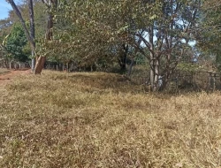 SÍTIO EM CAPOEIRA GRANDE