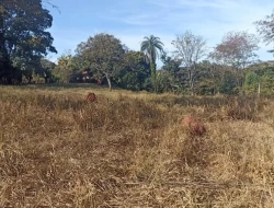 SÍTIO EM CAPOEIRA GRANDE