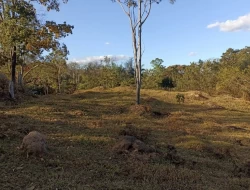CHÁCARA EM PARÁ DE MINAS  À 500 METROS DA  BR 262 EM FRENTE ITAMBÉ.