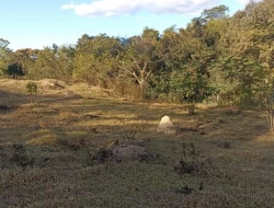 CHÁCARA EM PARÁ DE MINAS  À 500 METROS DA  BR 262 EM FRENTE ITAMBÉ.