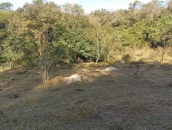 CHÁCARA EM PARÁ DE MINAS  À 500 METROS DA  BR 262 EM FRENTE ITAMBÉ.