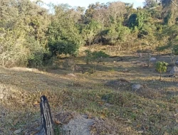 CHÁCARA EM PARÁ DE MINAS  À 500 METROS DA  BR 262 EM FRENTE ITAMBÉ.