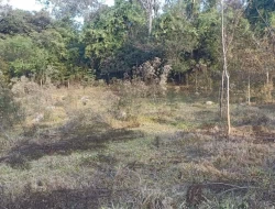 CHÁCARA EM PARÁ DE MINAS  À 500 METROS DA  BR 262 EM FRENTE ITAMBÉ.