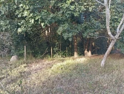 CHÁCARA EM PARÁ DE MINAS  À 500 METROS DA  BR 262 EM FRENTE ITAMBÉ.