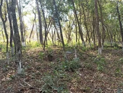 CHÁCARA EM CÓRREGO DAS PEDRAS