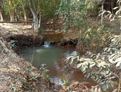 CHÁCARA EM CÓRREGO DAS PEDRAS