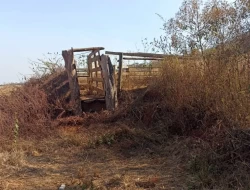 FAZENDA EM COLÔNIA/ONÇA DE PITANGUI